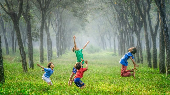US International day of happiness robert collins 333411