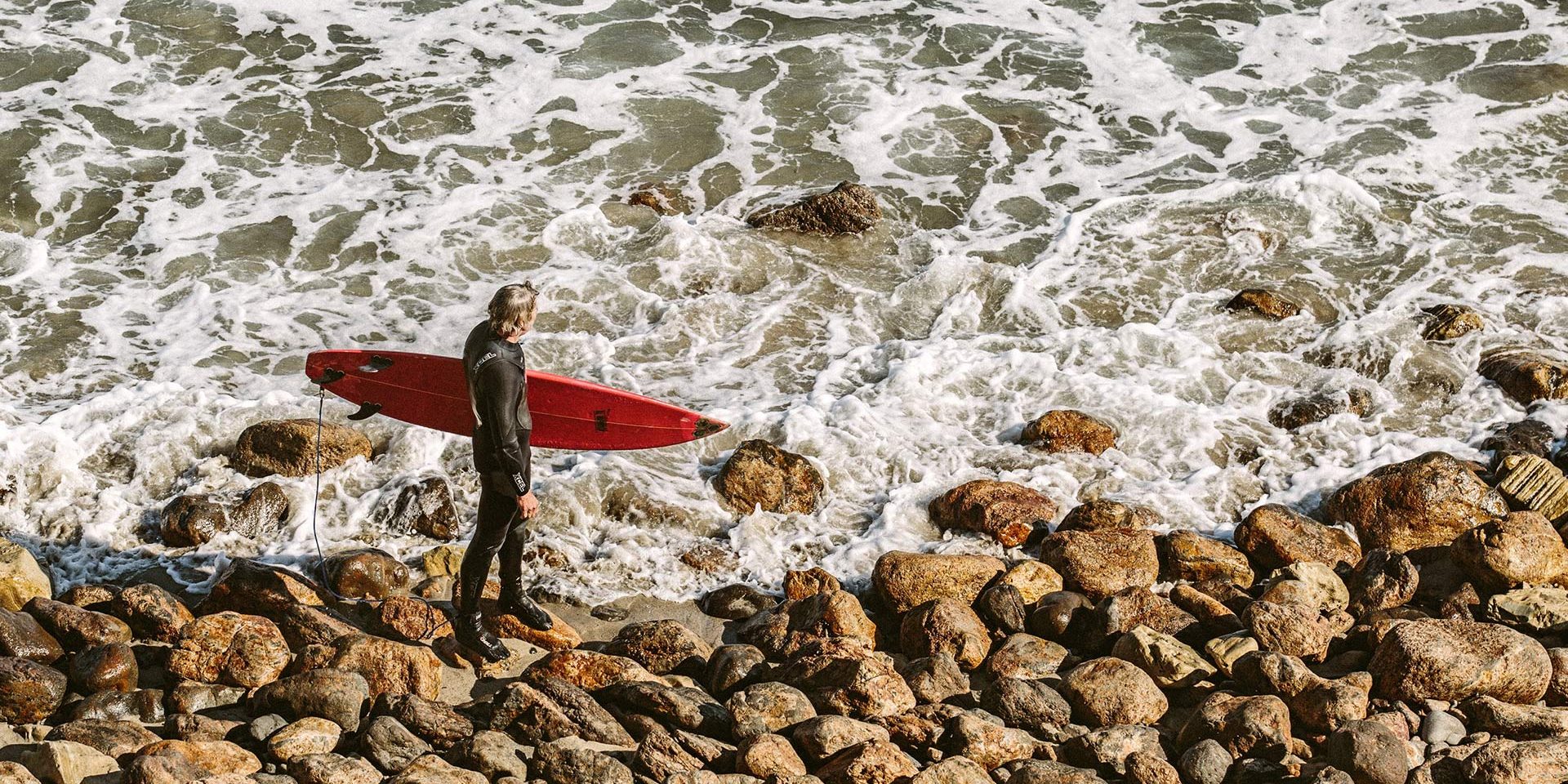 US Tenacity and stubbornness vladimir kudinov 65977 unsplash