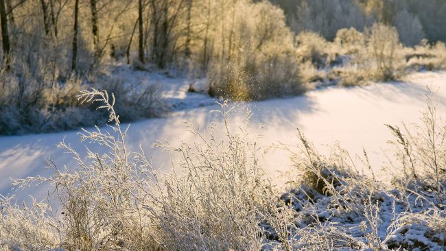 US Welcome November–the first month of winter fall 2255303