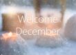 US Welcome December The Christmas Season pexels photo 278587