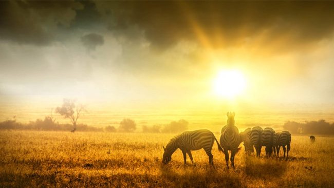US Africa travel destinations