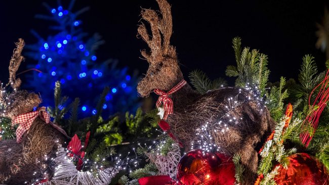 US Top 5 of the most spectacular Christmas markets reindeer 2994595