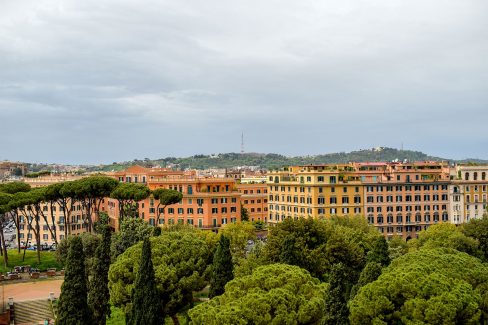 Italian Stone Pine - Landscape, Rome Italy