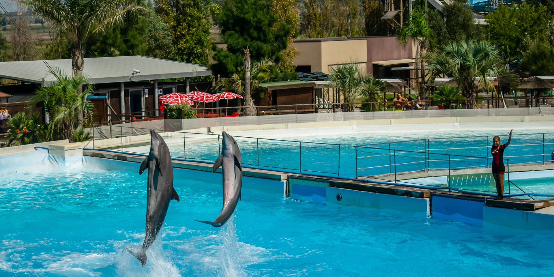 Zoomarine Dolphinarium Zoomarine Dolphinarium