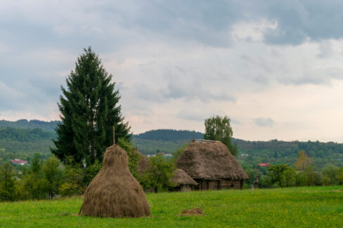 Haystacks from the Maramures Village Museum, Romania