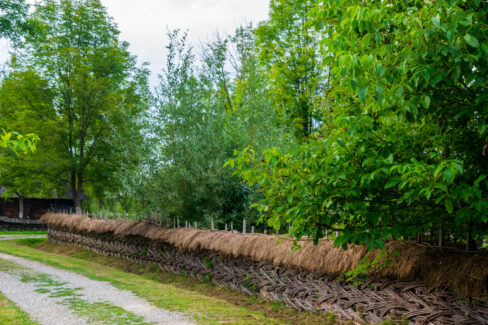 The hay and wood fence in front of Marinca House, Maramures Village Museum, Romania