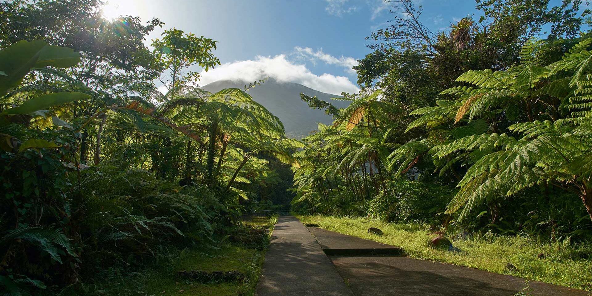 Sustainable Tourism Sustainable Tourism