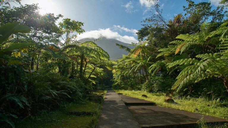 Sustainable Tourism